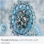 독감,여름,호주