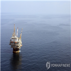 원유,유가,미국,상승,재고,감산