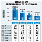 대만,총통,시장,여론조사,이상