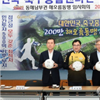 경주,축구,축구종합센터,포항,경주시