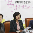 패스트트랙,정의