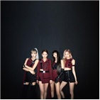 차트,빌보드,블랙핑크,공연
