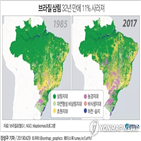 아마존,브라질,열대우림,삼림,파괴,지역,전체