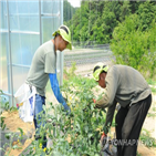 외국인,근로자,지역,경인,증가,내국인,건설업,비중