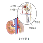 사람,조산,위험,연구팀