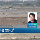 서울,정부,공급,수도권,발표