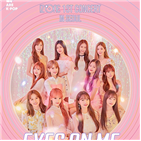 콘서트,예매,단독