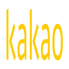 사용자,카카오,광고