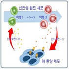 폐암,폐암세포,암세포,연구팀