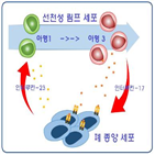 폐암,폐암세포,성장