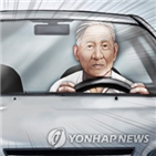 운전자,고령,지난해,반납