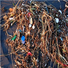 플라스틱,쓰레기,화학물질,해양,영향