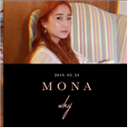 영상,앨범,싱글