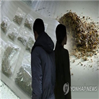 경찰,대마초