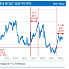 국내,우리손에프앤지,상승,돼지고기