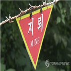 지뢰,발견