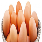 국내,증시,주식형,펀드,연구원