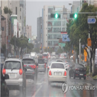 피해,지난달,1천38,폭우