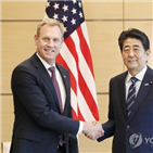 실현,아베,북한,대행