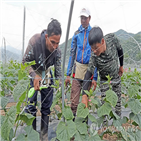 적용,산재,고용주,이주노동자,외국인,농어촌,산재보험,사고