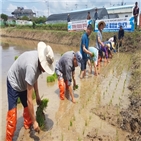 통일쌀,생산,진주