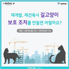 길고양이,재건축,서울시,동물