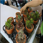 강남구,고독,어르신