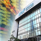 검사,거래소,금감원,금융위,올해