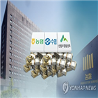 농협,선거,조합장,혐의