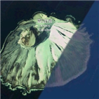 쿠릴열도,분화,주변,화산섬