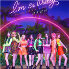 네이처,미니앨범,앨범