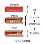 세포,심장,분열,손상,확인,조직