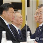 사드,비핵화,대통령,문제,해결방안