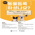 동물등록,기간,과태료