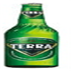 하이트진로,판매량,테라