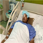 활동,보호,중단,제안,증인보호국,정치,테러