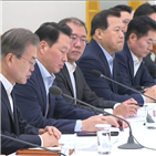 정부,대통령,일본,관련,협력