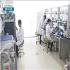 코스닥,정부,기업,역할,대한,정책,관련