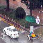 기상청,호우주의보,소나기