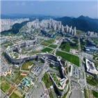 서비스,내년,세종시