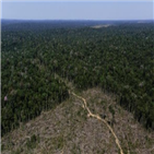 아마존,열대우림,파괴,브라질,메르코수르,합의,주장