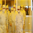 한국과학기술원,현장