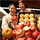 품종,사과,일본,시장,개발,대체,국산