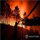 산불,화재,부상,포르투갈,지역