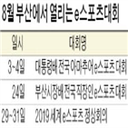 부산,아마추어,스포츠,전국,직장인