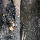 화재,발생,선풍기