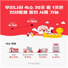 반려동물,숙박시설,전국