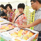 복숭아,전주,직거래