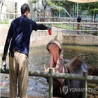 신설,전주시,인권,동물복지과,조직개편