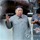 잠수함,공개,북한,전문가